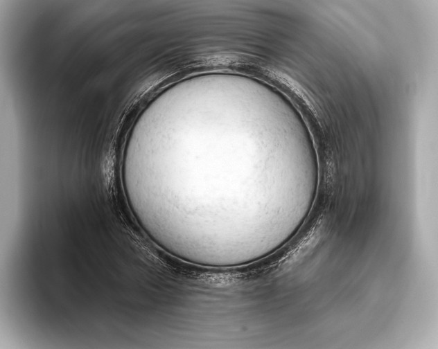 X0000093420778200710260958