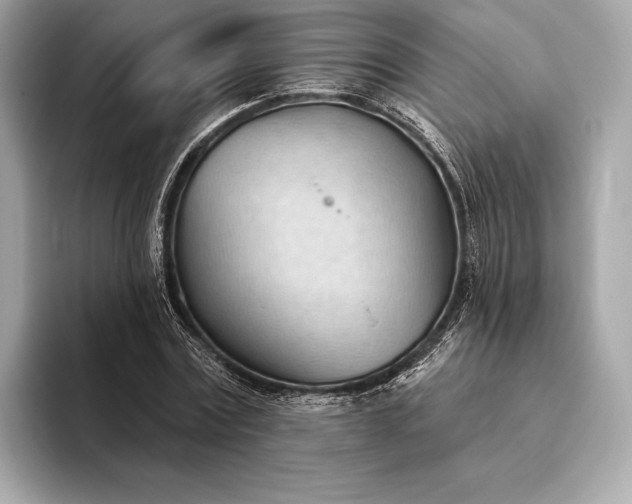 X0000093420779200710260958