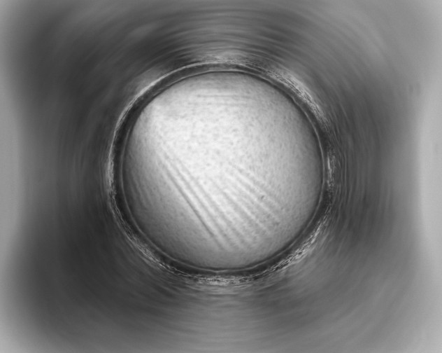 X0000093420780200710260958