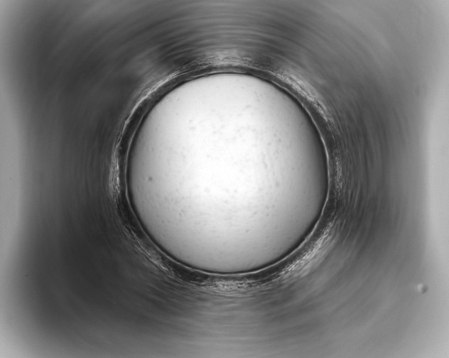 X0000093420782200710260958