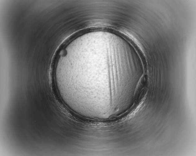 X0000093420783200710260958