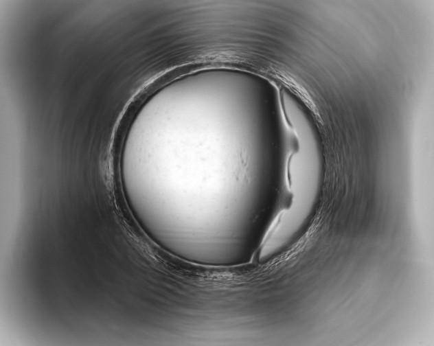 X0000093420784200710260958