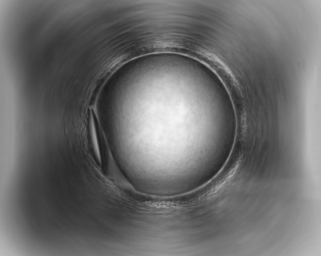 X0000093420785200710260958