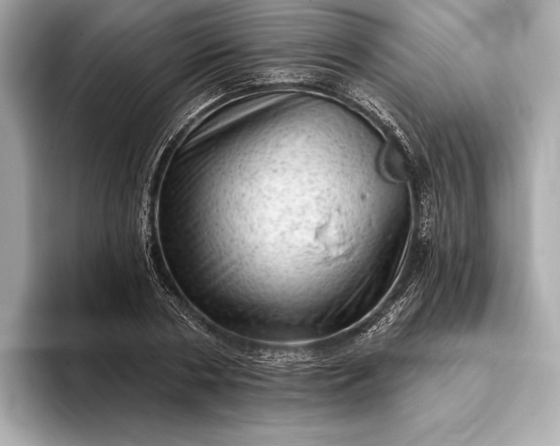 X0000093420786200710260958