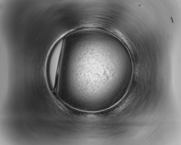 X0000093420787200710260958