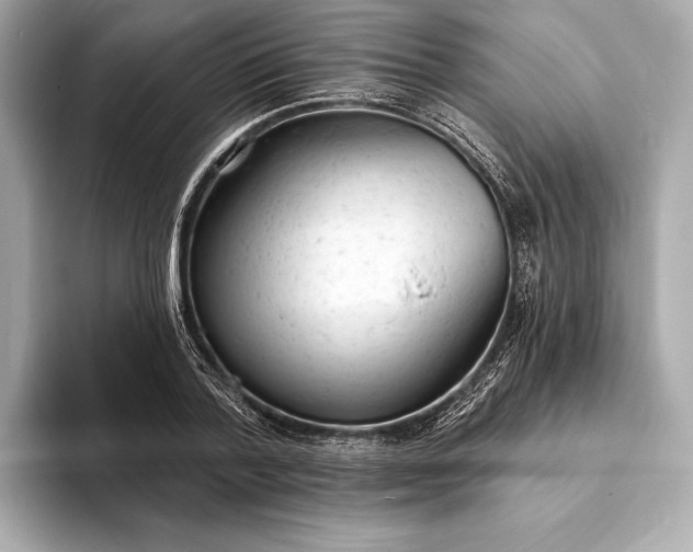 X0000093420788200710260958