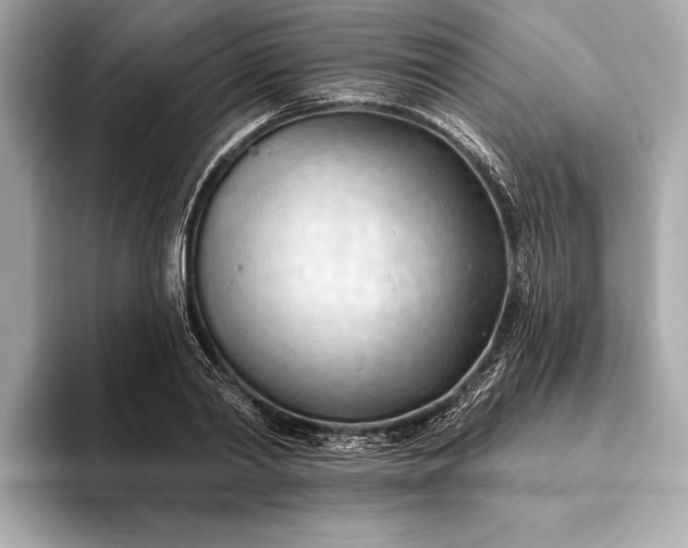 X0000093420790200710260957