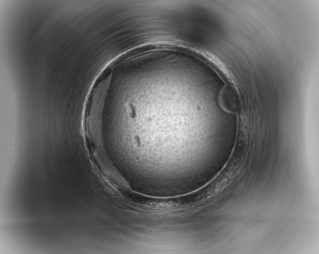 X0000093420791200710260957