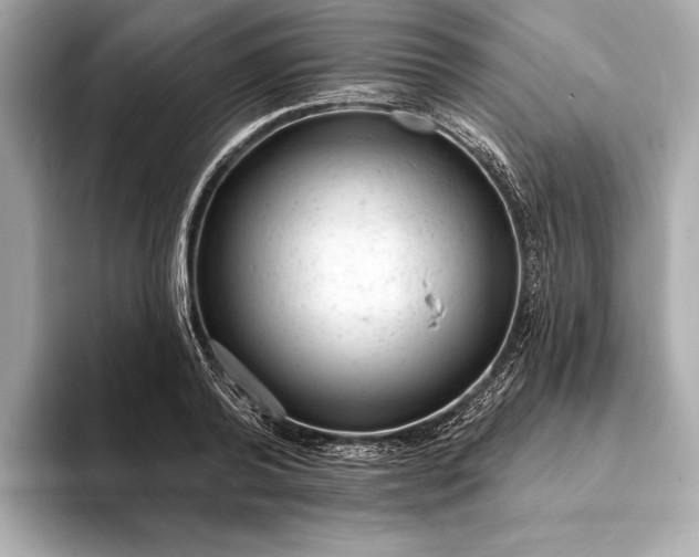 X0000093420792200710260957