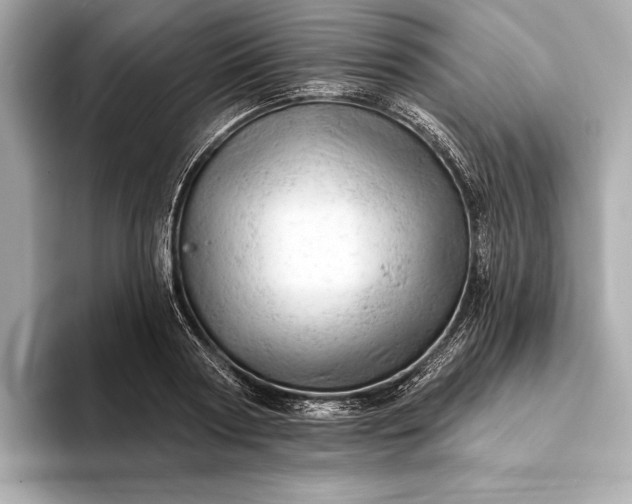 X0000093420794200710260957