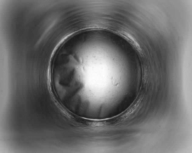 X0000093420796200710260957