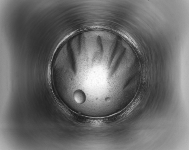 X0000093420798200710260957