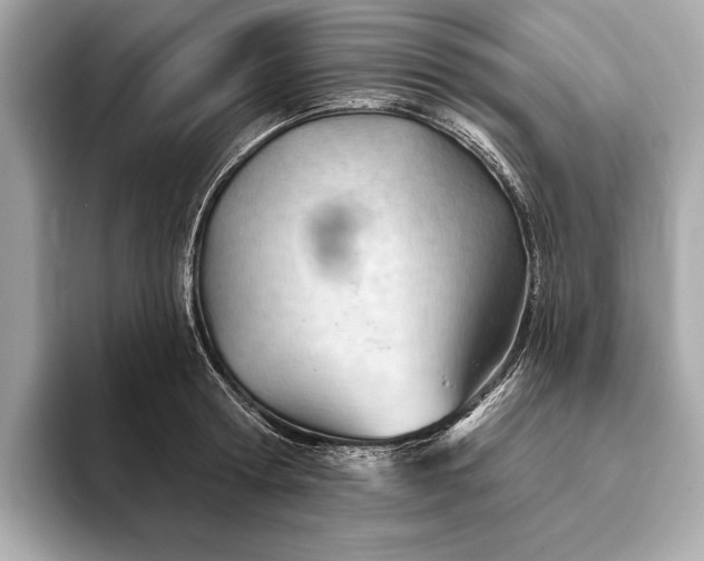 X0000093420802200710260957