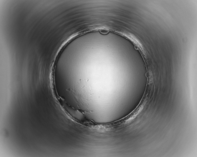 X0000093420806200710260957