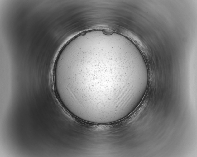 X0000093420808200710260957