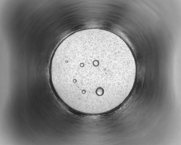 X0000093420810200710260957