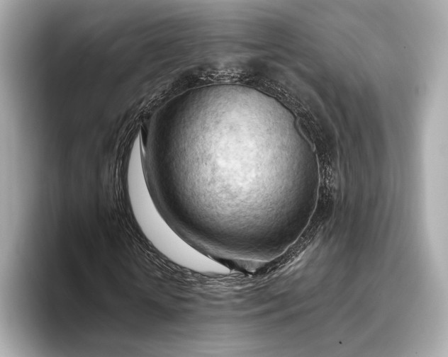 X0000093420818200710260957