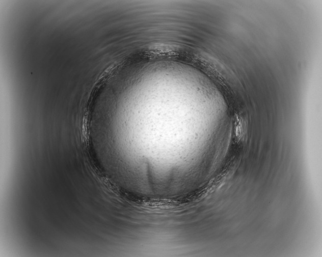 X0000093420819200710260957