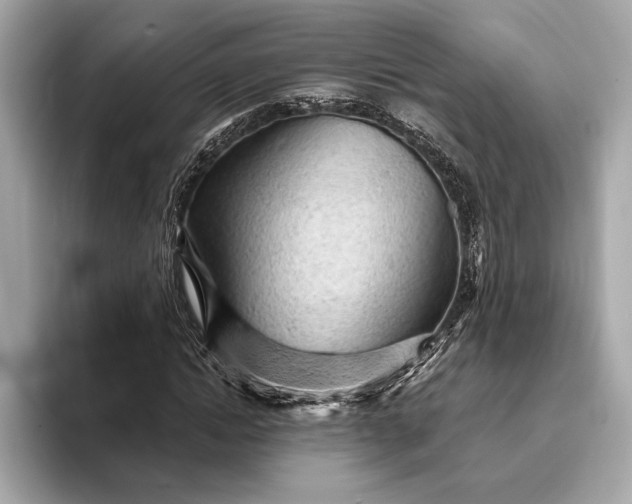 X0000093420822200710260957