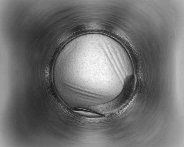 X0000093420825200710260957