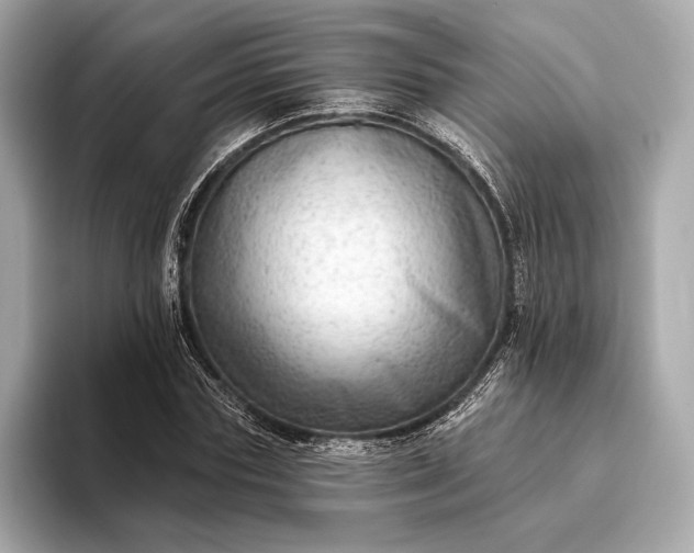 X0000093420827200710260957