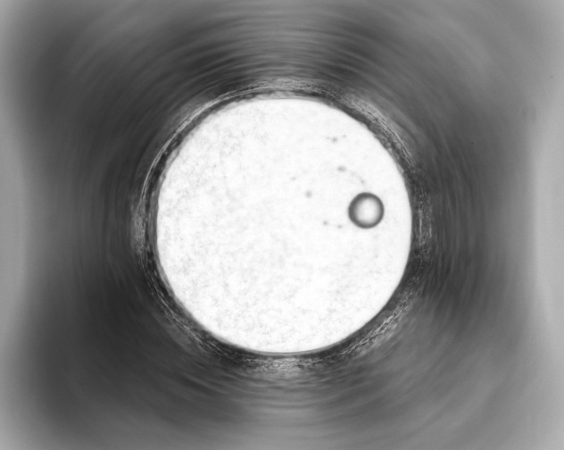 X0000093420828200710260957