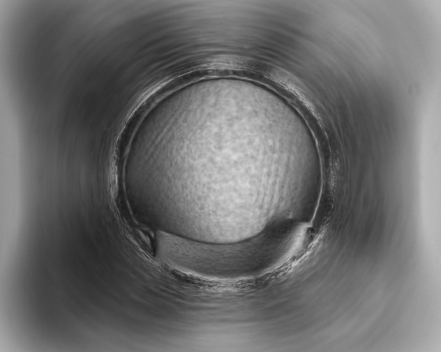 X0000093420829200710260957