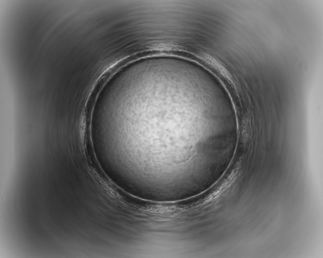 X0000093420831200710260957