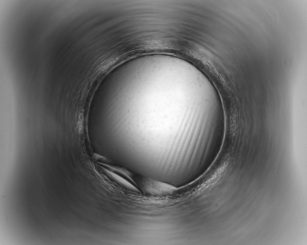 X0000093420833200710260957