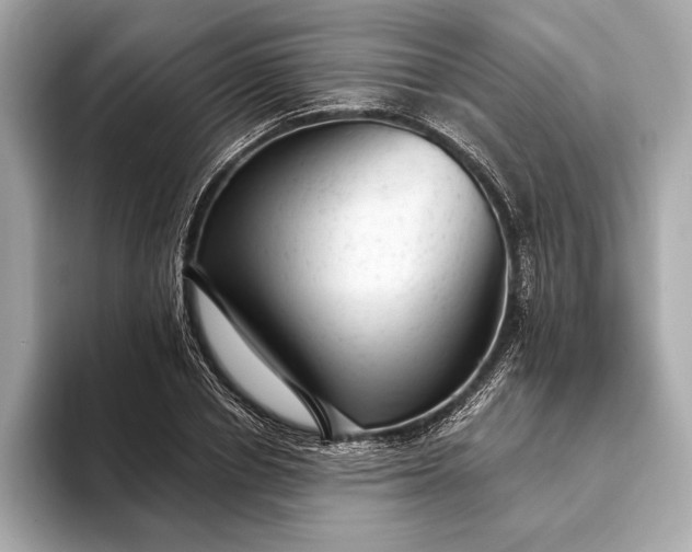 X0000093420834200710260957