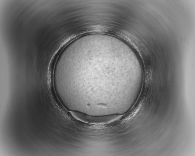 X0000093420835200710260957