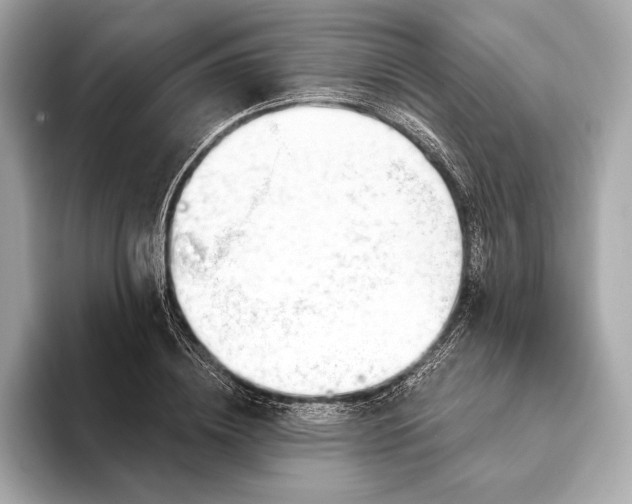 X0000093420836200710260957