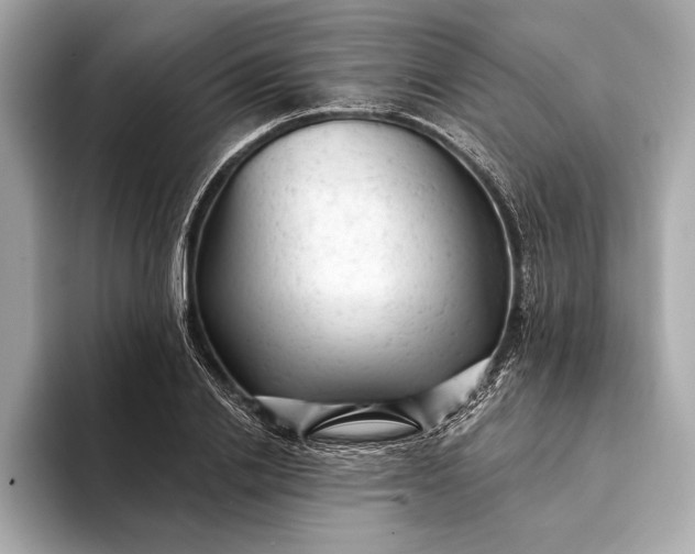 X0000093420838200710260957