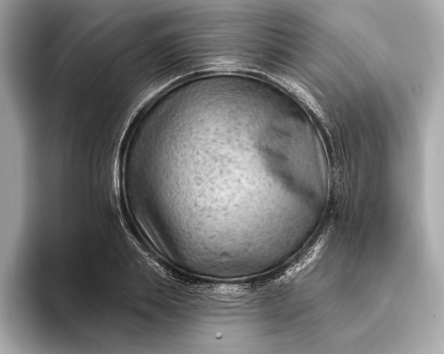 X0000093420839200710260957