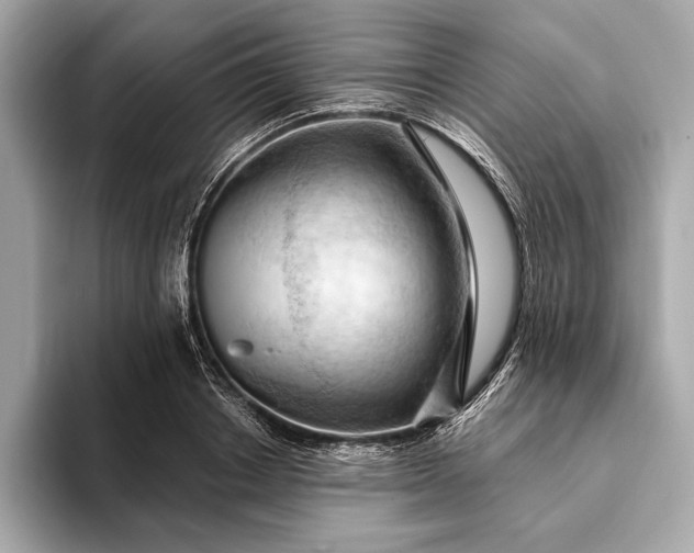 X0000093420842200710260957