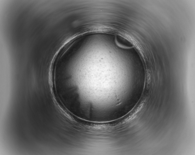 X0000093420843200710260957