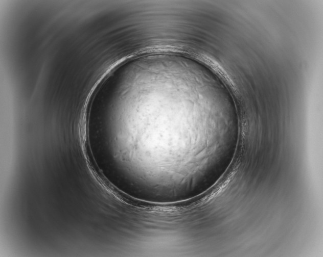 X0000093420844200710260957