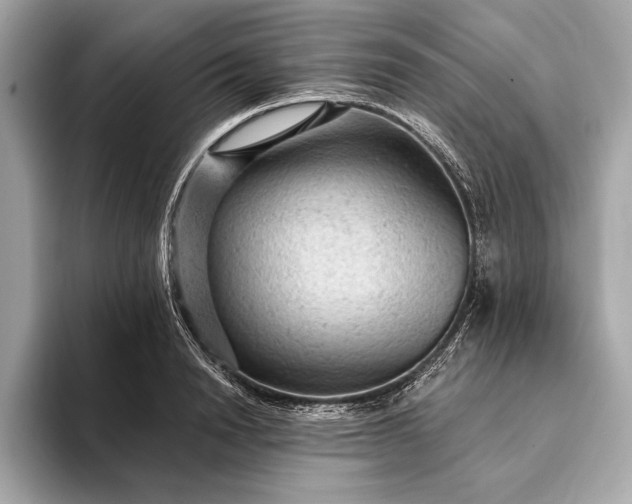 X0000093420846200710260957