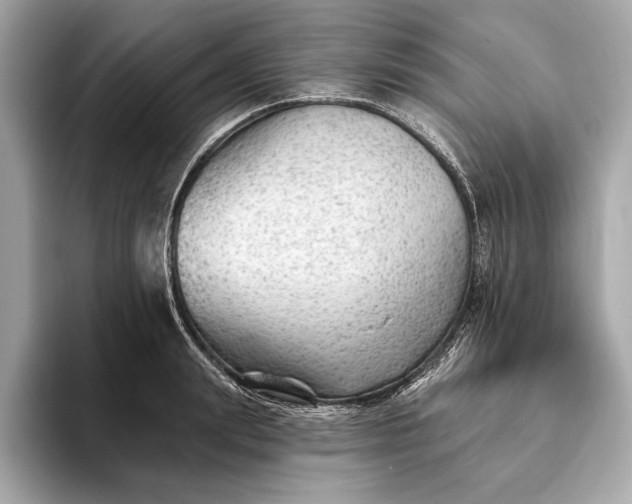 X0000093420847200710260957