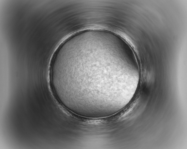 X0000093420853200710260957