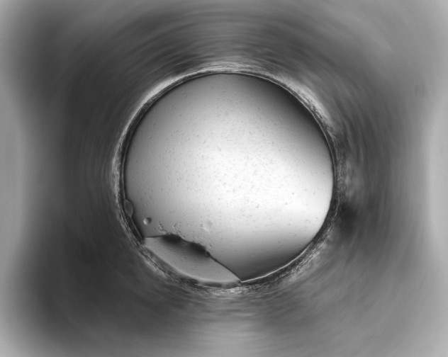 X0000093420854200710260957