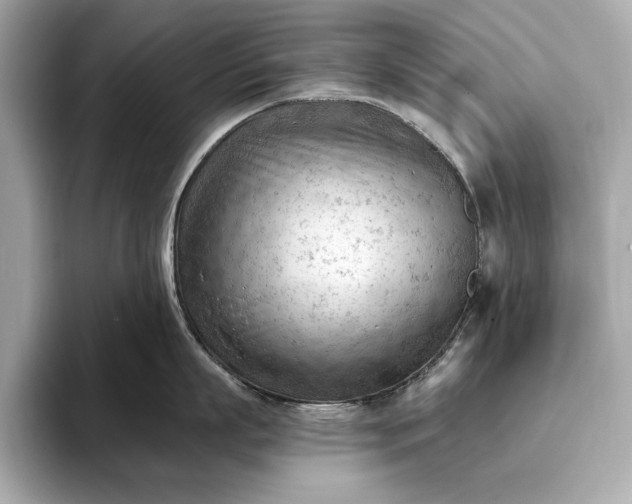 X0000093420863200710260957