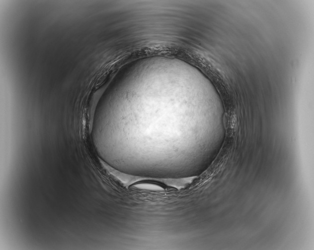 X0000093420868200710260956