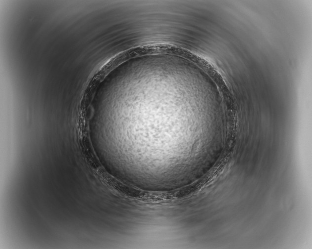 X0000093420871200710260956