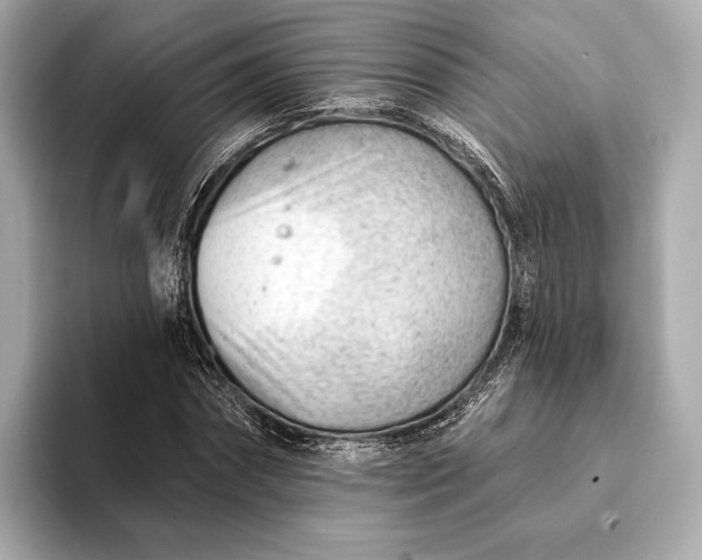 X0000093420874200710260956