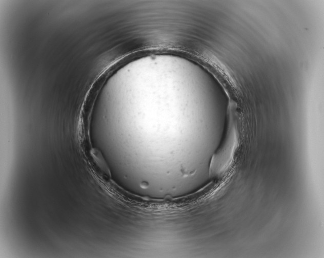 X0000093420876200710260956