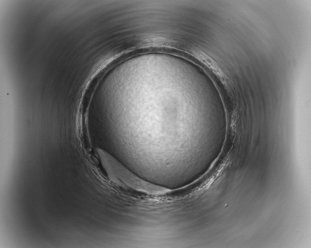 X0000093420877200710260956