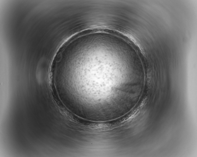 X0000093420879200710260956