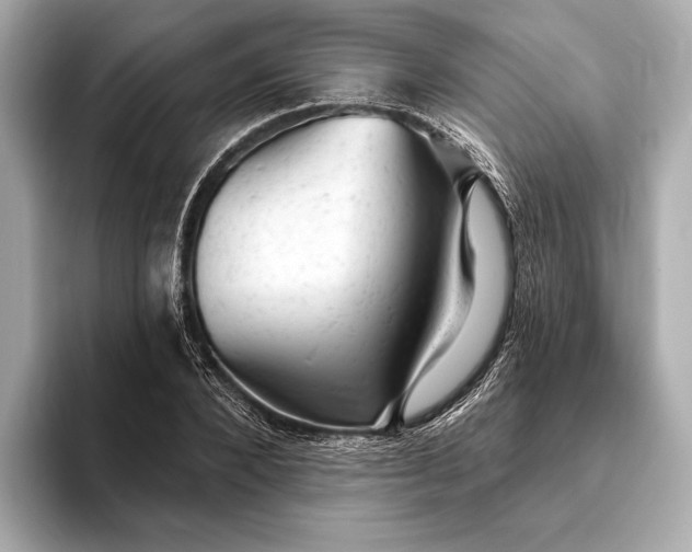 X0000093420880200710260956