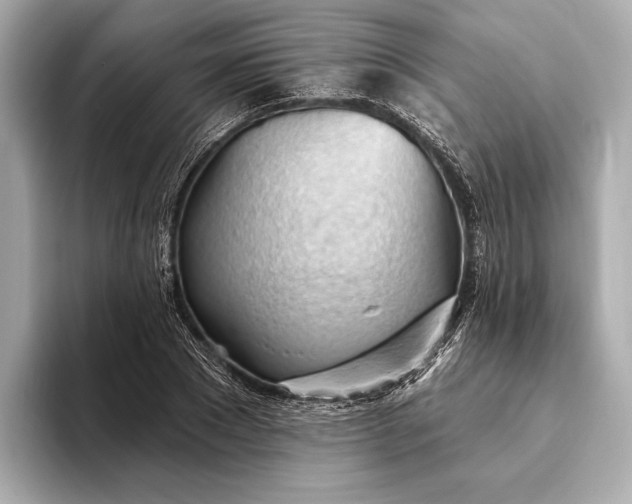 X0000093420881200710260956